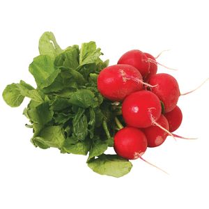 Rabanitos     S/Marca  1.0 - Pza
