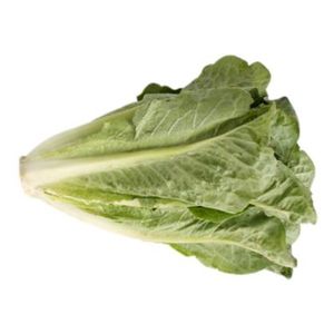 Lechuga  Romana  S/Marca  1.0 - Pza