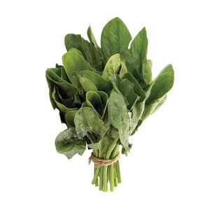 Espinaca  Fresca  S/Marca  1.0 - Pza