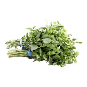Albahaca     Alfavid  30.0 - Gr