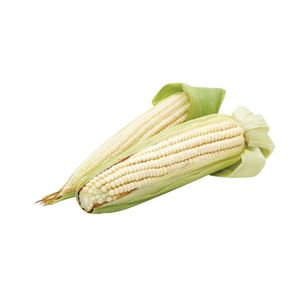 Elote  Fresco  S/Marca  1.0 - Pza