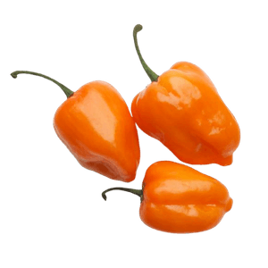 Chile Habanero     S/Marca  Por Kg