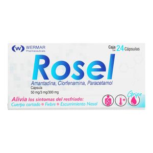 Antigripal     Rosel Gf  24.0 - Cap