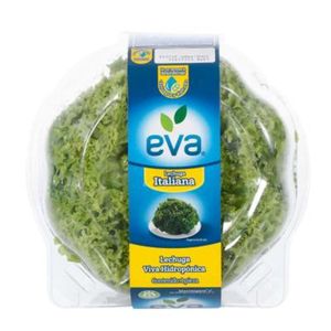 Lechuga  Italiana  Eva Clam  1.0 - Pza