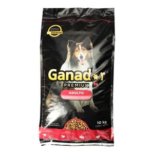 Alimento Para Perro  Premium Adulto  Ganador Premium  10.0 -