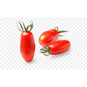 Tomate   San Marzano  S/Marca  Por Kg