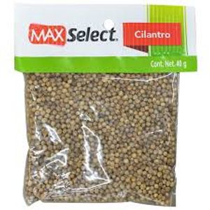 Cilantro     Max Select  40.0 - Gr