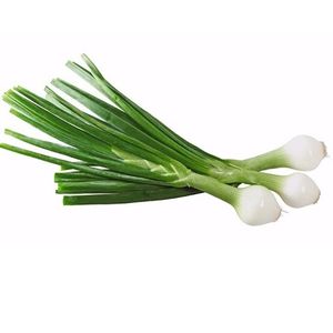 Cebollita  Cambray  S/Marca  1.0 - Pza