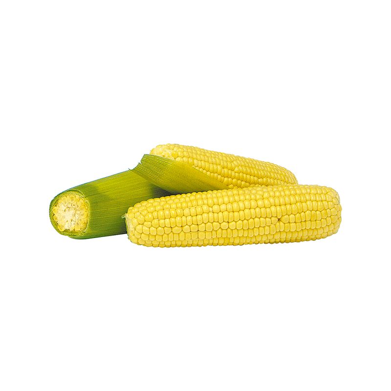 2704078000006.1
