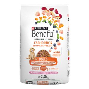 Comida Perro Cachorro Beneful 2kg