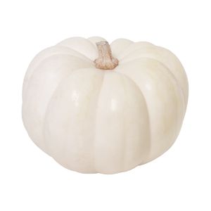 Calabaza Blanca  Mini Casperita  S/marca  1.0 - Pza