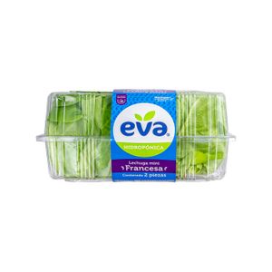 Lechuga Mini  Francesa  S/m  1.0 - Pza