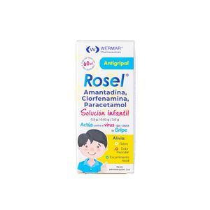 Antigripal  Infantil  Rosel  60.0 - ml